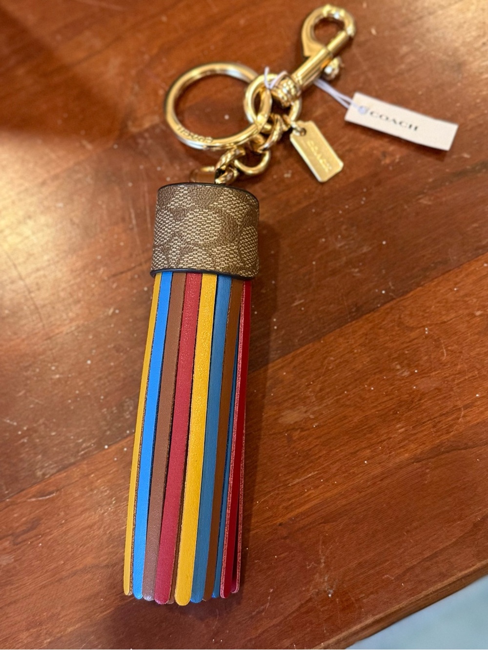Coach Multicolor Striped Leather Tassel Keychain with Gold Hardware